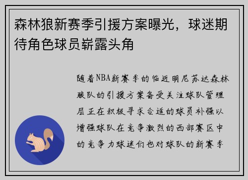 森林狼新赛季引援方案曝光，球迷期待角色球员崭露头角